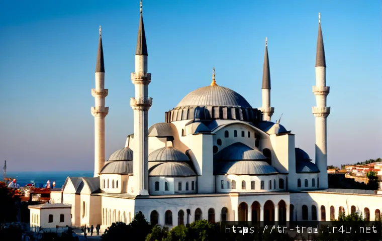 Geleneksel Kimchi Nasıl Seçilir veya Yapılır? Malzeme, Saklama ve Maliyet Rehberi 4 전통 김치 관련 이미지 2